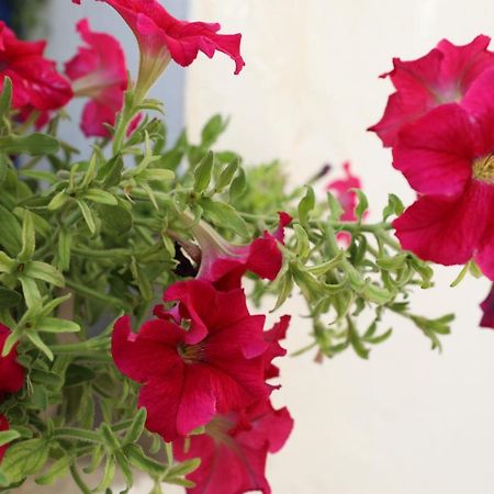 Dimitra Boutique Hotel Poros Town Ngoại thất bức ảnh